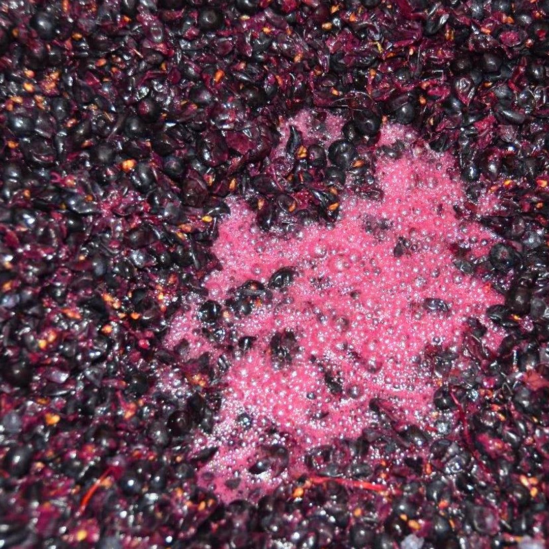 ¿Qué es la fermentación del vino?