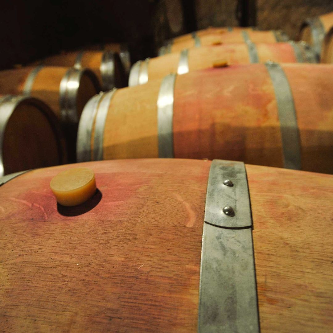 Crianza del vino