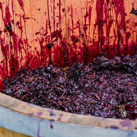 Maceración en los vinos