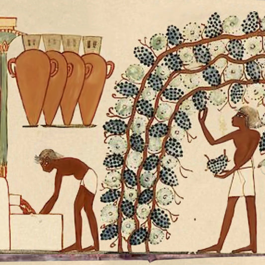 Historia del vino.