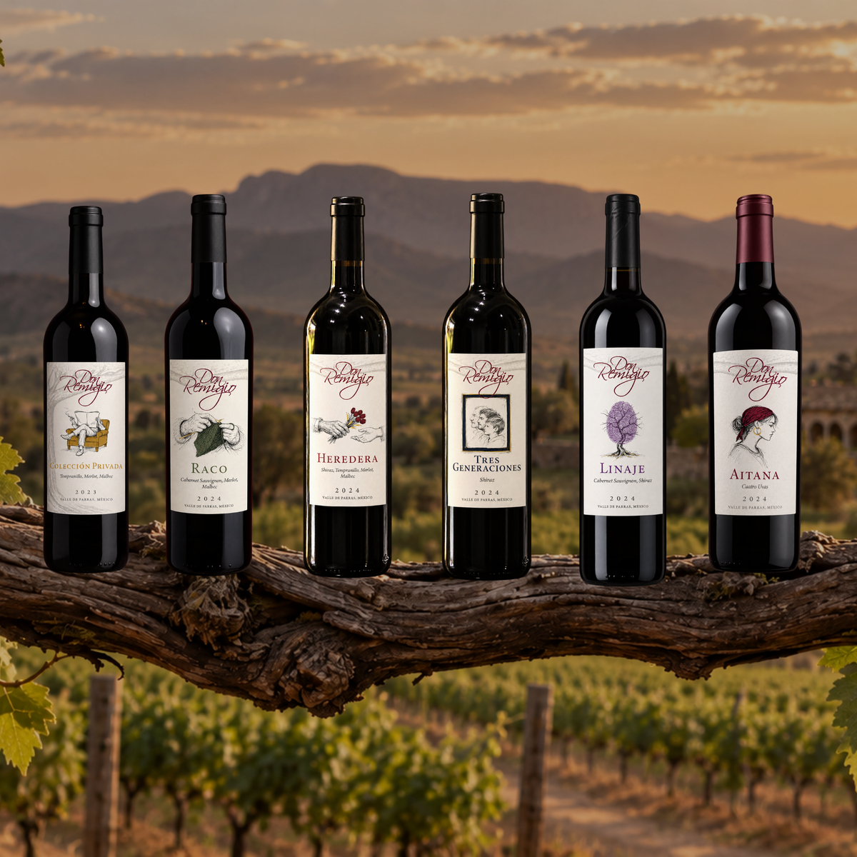 Nuestro Vino