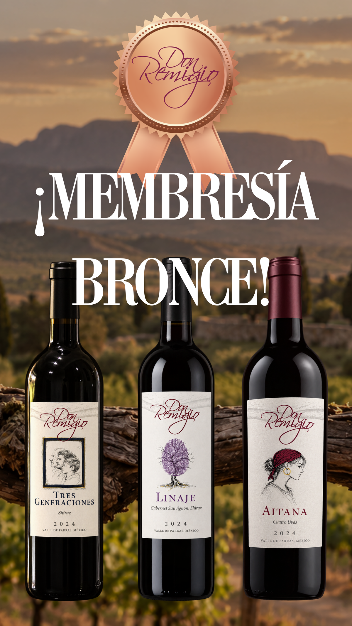 Membresía Bronce